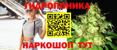 гашик Мариинск