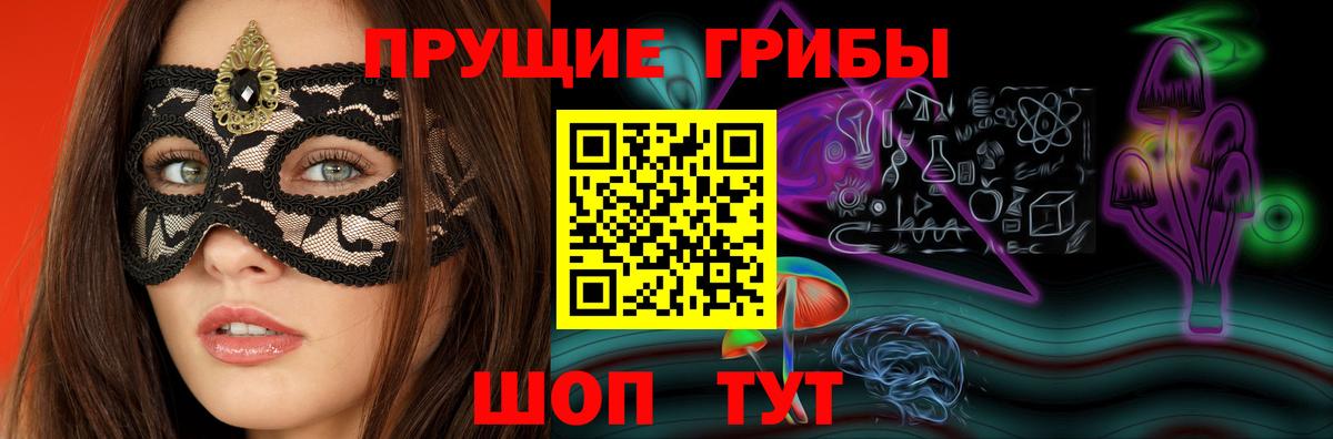 Елец  Галлюциногенные грибы Psilocybe  Вход с VPN 